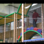 schritt_1.6_kontrolle.usb-videostream_in_kamera-app.png